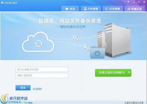 服务器区网络软件 非凡软件站的专业服务探索
